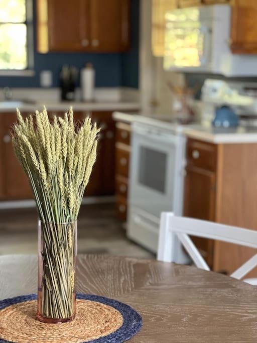 Charming House In Sevierville Family Friendly Quiet Location Close To Wilderness Exteriör bild